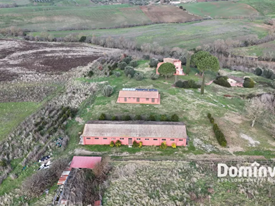 Immagine 13 di Rustico / casale in vendita  in Strada Capalbio Pescia Fiorentina a Capalbio