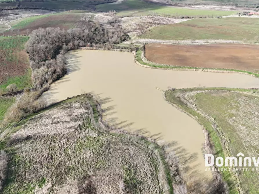Immagine 25 di Rustico / casale in vendita  in Strada Capalbio Pescia Fiorentina a Capalbio