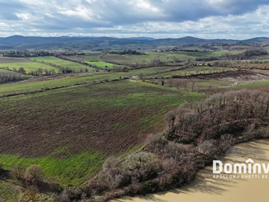 Immagine 27 di Rustico / casale in vendita  in Strada Capalbio Pescia Fiorentina a Capalbio
