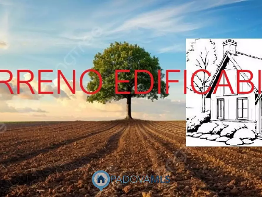 Immagine 4 di Terreno in vendita  in Via Alto Adige a Camponogara