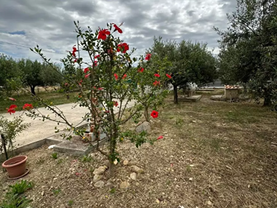 Immagine 7 di Appartamento in vendita  in Via della Riviera, 1 a Menfi