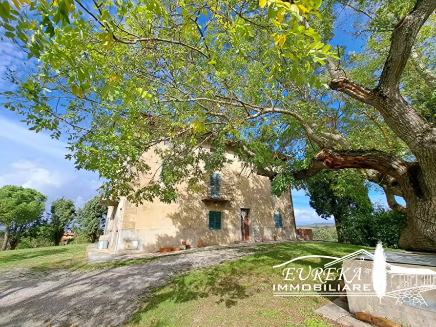 Immagine 2 di Rustico / casale in vendita  in PORTO a Castiglione Del Lago