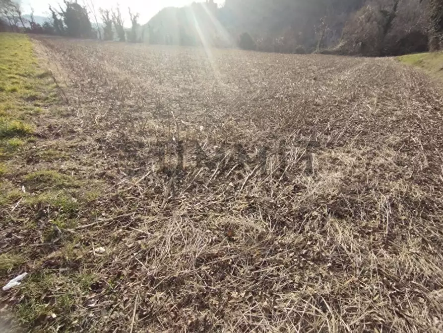 Immagine 2 di Terreno in vendita  a Cogollo Del Cengio