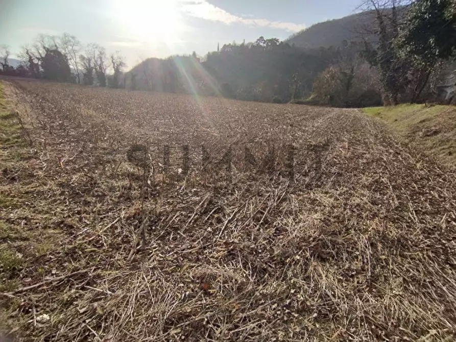 Immagine 3 di Terreno in vendita  a Cogollo Del Cengio