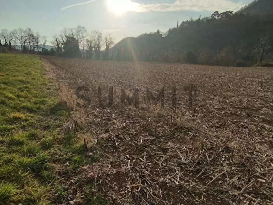 Immagine 5 di Terreno in vendita  a Cogollo Del Cengio