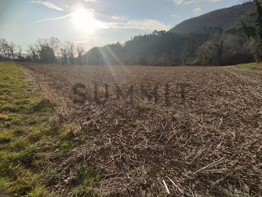 Immagine 6 di Terreno in vendita  a Cogollo Del Cengio