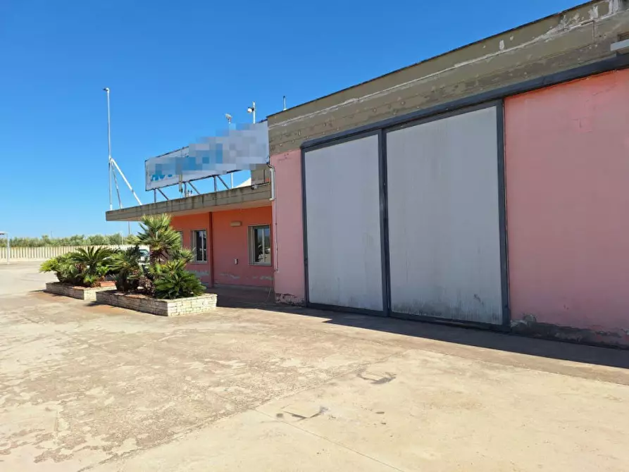 Immagine 7 di Capannone industriale in vendita  in Strada Provinciale 231, N. km 11 a Bitonto