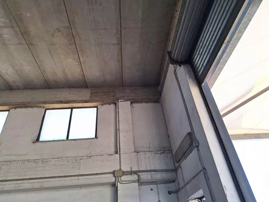 Immagine 11 di Capannone industriale in vendita  in Strada Provinciale 231, N. km 11 a Bitonto