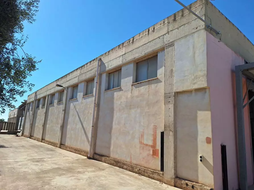 Immagine 12 di Capannone industriale in vendita  in Strada Provinciale 231, N. km 11 a Bitonto