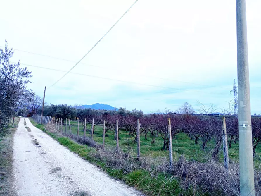 Immagine 1 di Rustico / casale in vendita  in Via Leccino Località Polledrara a Montelibretti