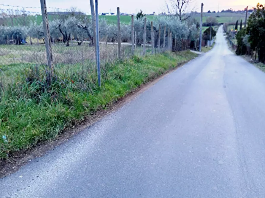 Immagine 2 di Rustico / casale in vendita  in Via Leccino Località Polledrara a Montelibretti