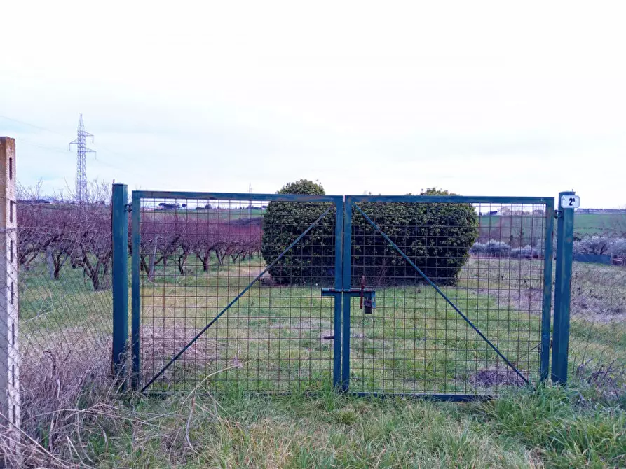 Immagine 3 di Rustico / casale in vendita  in Via Leccino Località Polledrara a Montelibretti