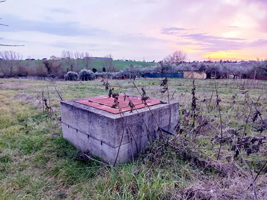 Immagine 5 di Rustico / casale in vendita  in Via Leccino Località Polledrara a Montelibretti