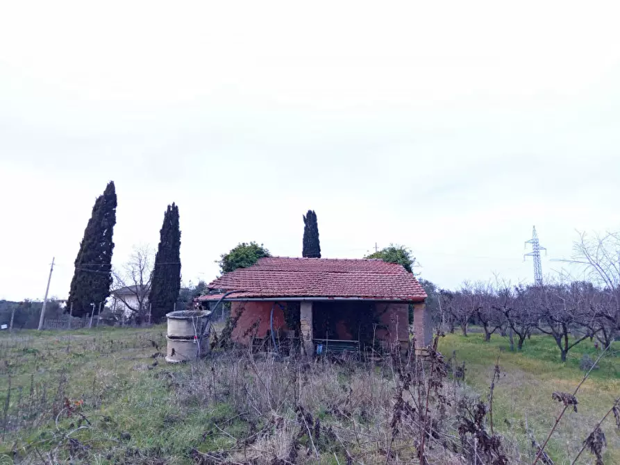 Immagine 7 di Rustico / casale in vendita  in Via Leccino Località Polledrara a Montelibretti