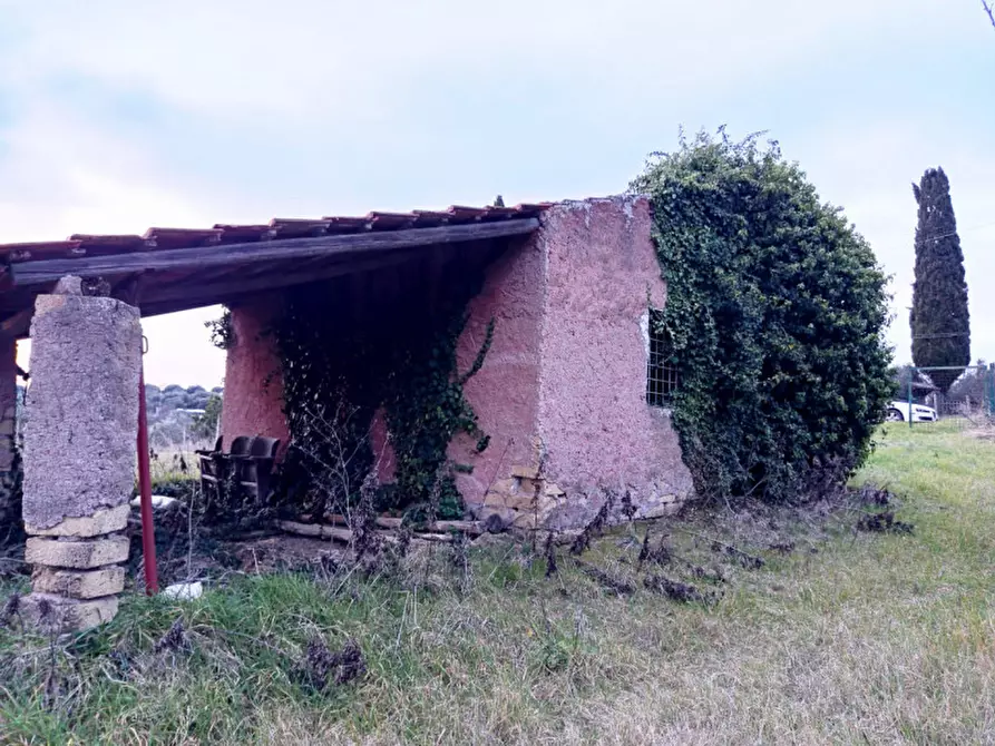 Immagine 8 di Rustico / casale in vendita  in Via Leccino Località Polledrara a Montelibretti