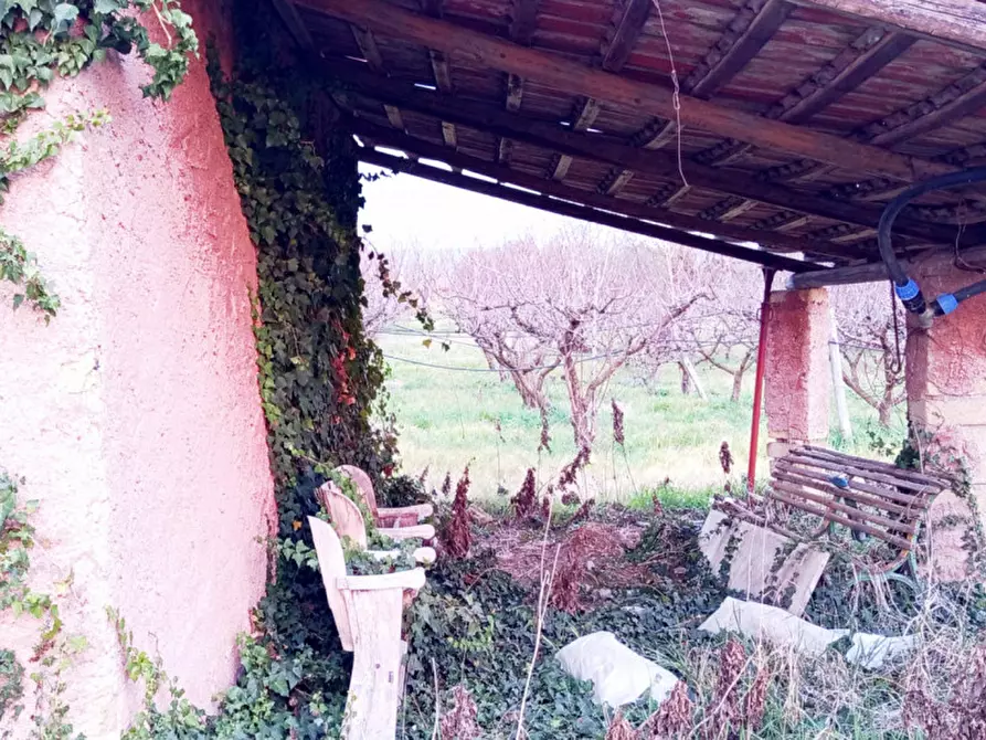 Immagine 11 di Rustico / casale in vendita  in Via Leccino Località Polledrara a Montelibretti