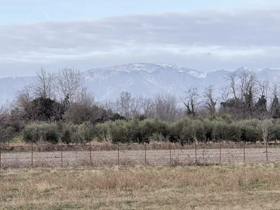 Immagine 2 di Terreno in vendita  in Via Storta a Montebelluna
