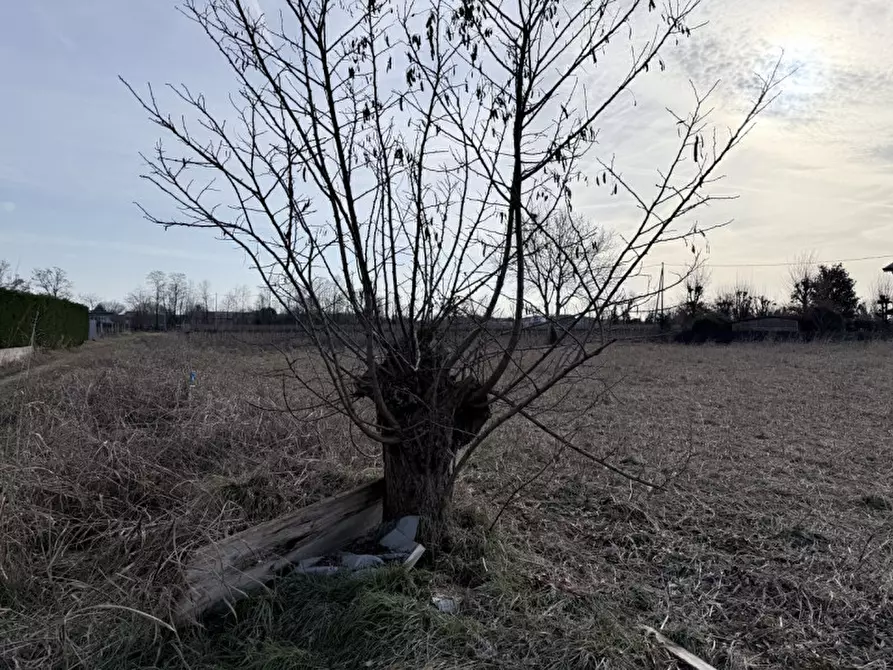 Immagine 4 di Terreno in vendita  in Via Storta a Montebelluna