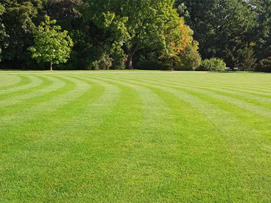 Immagine 5 di Terreno in vendita  in Via Storta a Montebelluna
