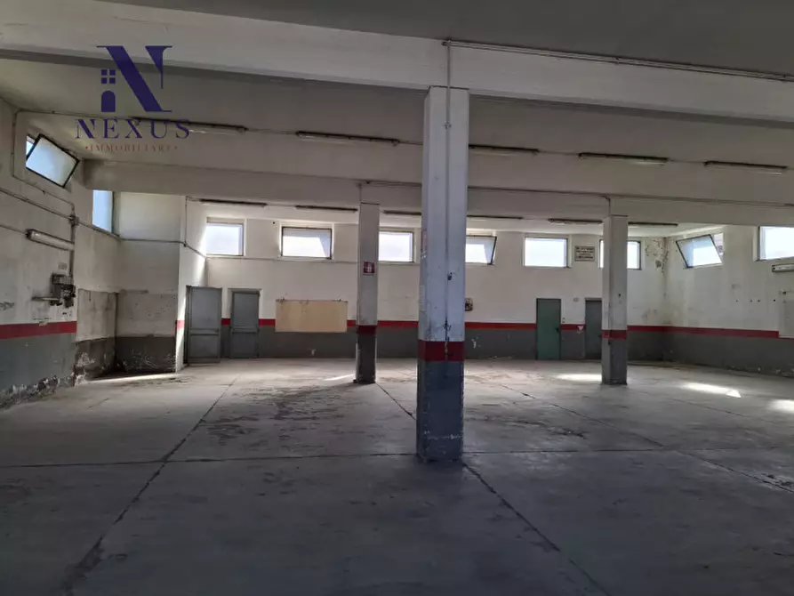 Immagine 4 di Capannone industriale in affitto  in via dell'industria a Fano