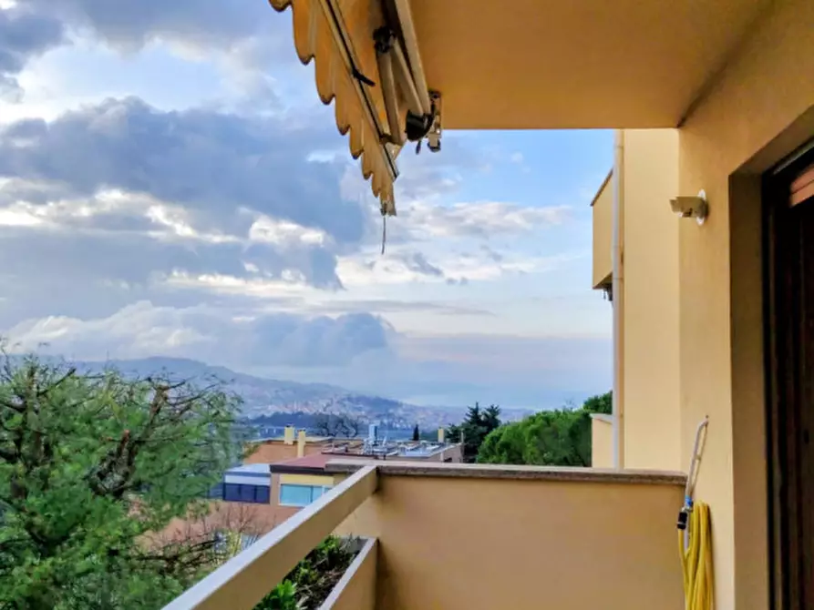 Immagine 19 di Appartamento in affitto  in Via Corrado Cagli a Ancona