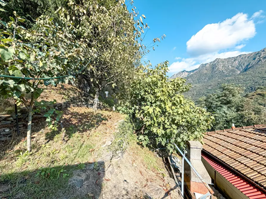 Immagine 18 di Appartamento in vendita  in Via Valle Strona, 34 a Omegna