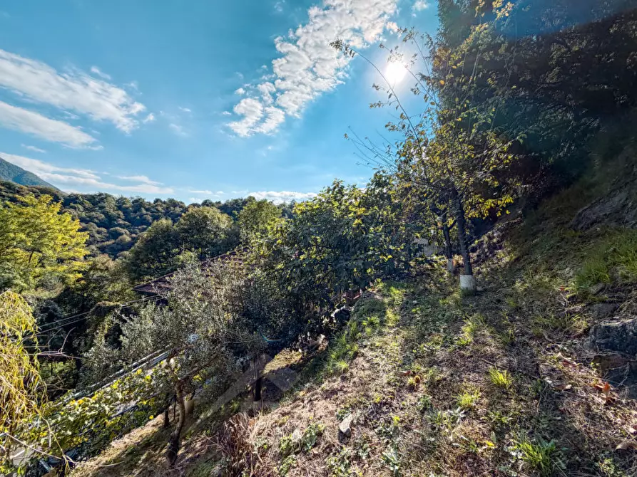 Immagine 23 di Appartamento in vendita  in Via Valle Strona, 34 a Omegna