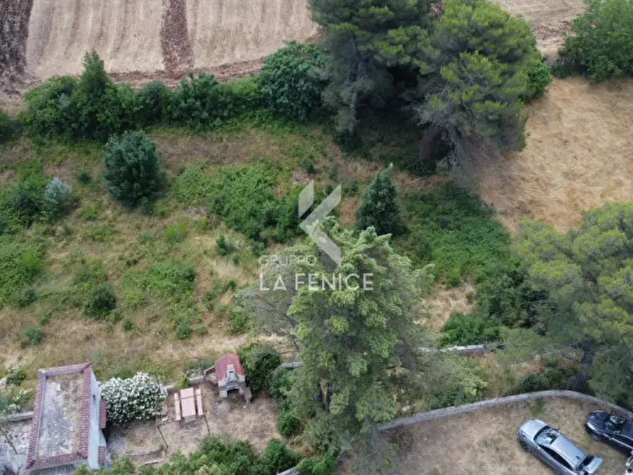 Immagine 5 di Rustico / casale in vendita  in contrada de siati a Martina Franca