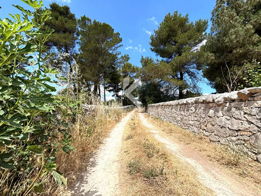 Immagine 11 di Rustico / casale in vendita  in contrada de siati a Martina Franca