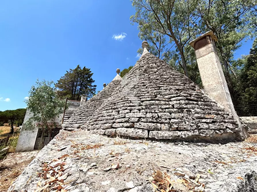 Immagine 15 di Rustico / casale in vendita  in contrada de siati a Martina Franca