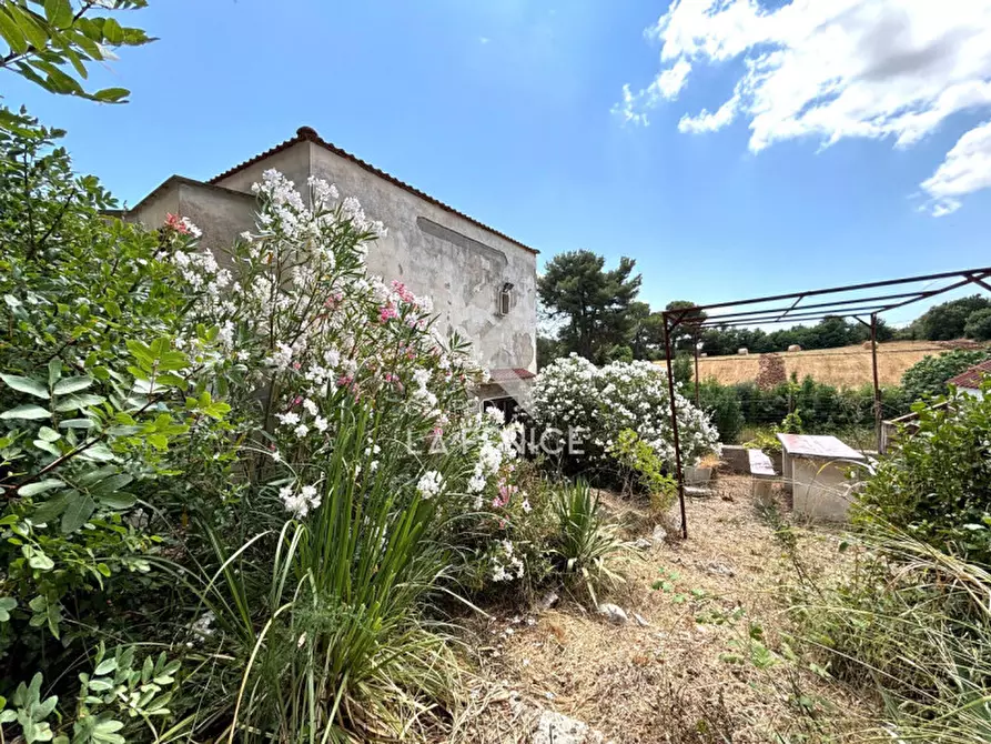 Immagine 21 di Rustico / casale in vendita  in contrada de siati a Martina Franca
