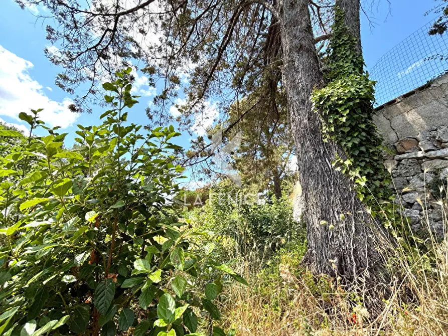 Immagine 23 di Rustico / casale in vendita  in contrada de siati a Martina Franca