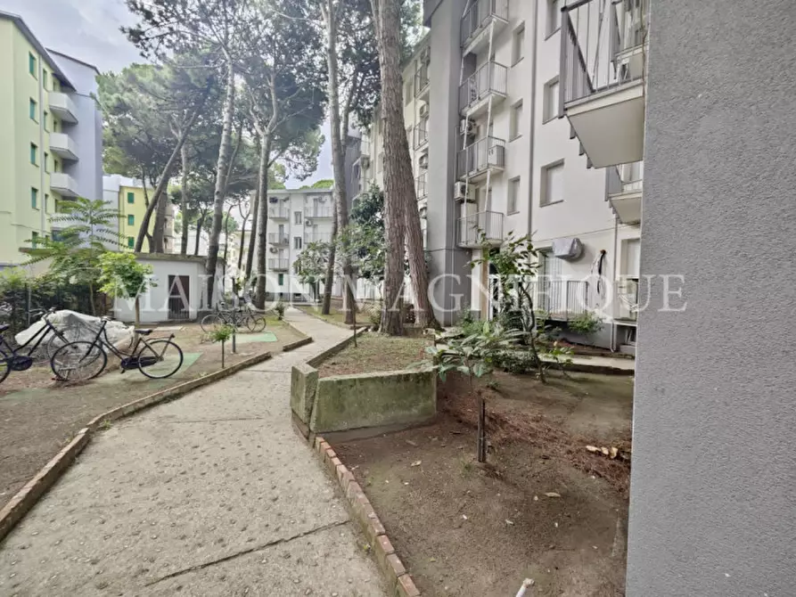 Immagine 3 di Appartamento in vendita  in Viale dei Pini 9 a Comacchio