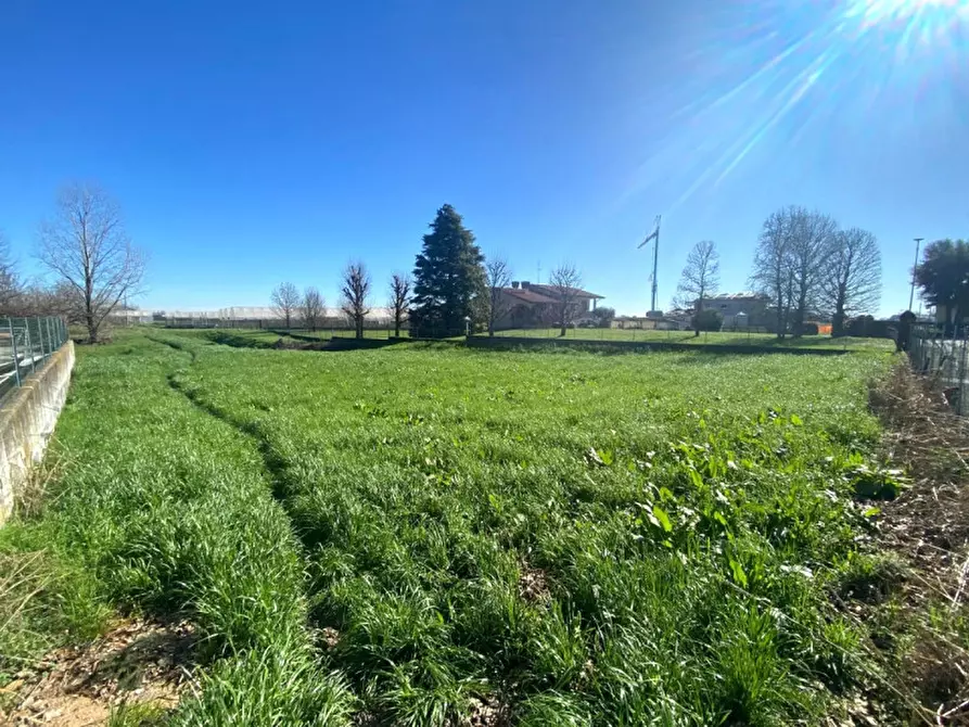 Immagine 4 di Terreno in vendita  in Quartiere San Mauro a San Pietro Viminario