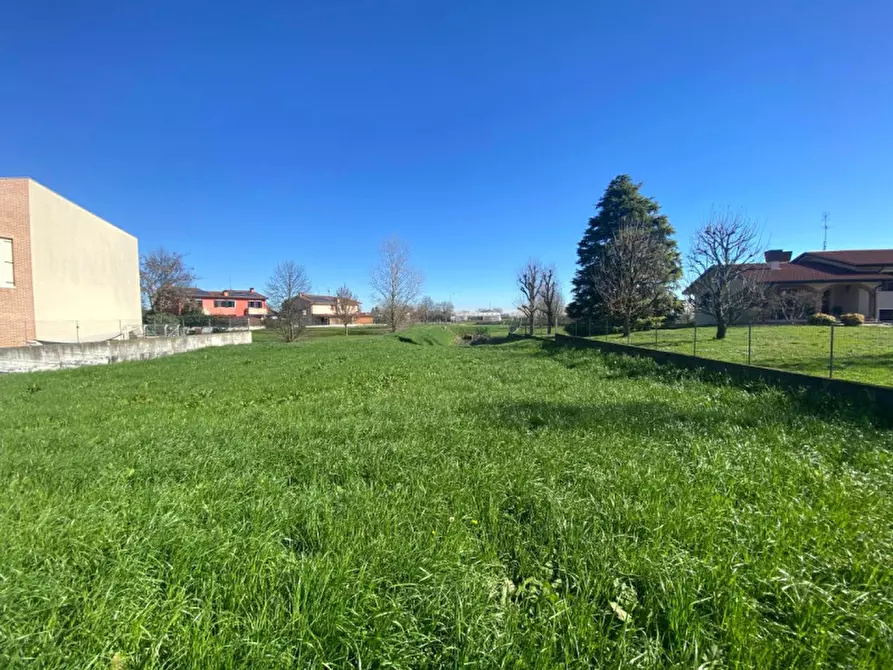 Immagine 5 di Terreno in vendita  in Quartiere San Mauro a San Pietro Viminario