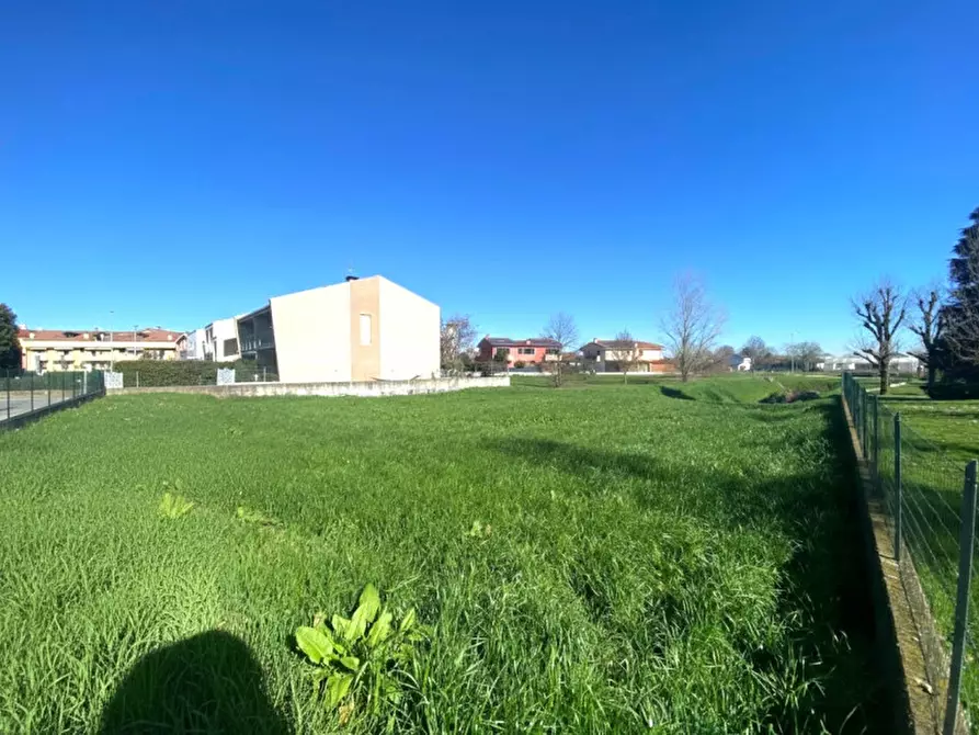 Immagine 6 di Terreno in vendita  in Quartiere San Mauro a San Pietro Viminario