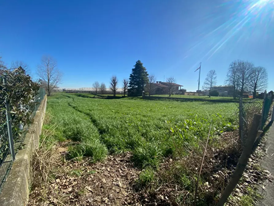 Immagine 8 di Terreno in vendita  in Quartiere San Mauro a San Pietro Viminario