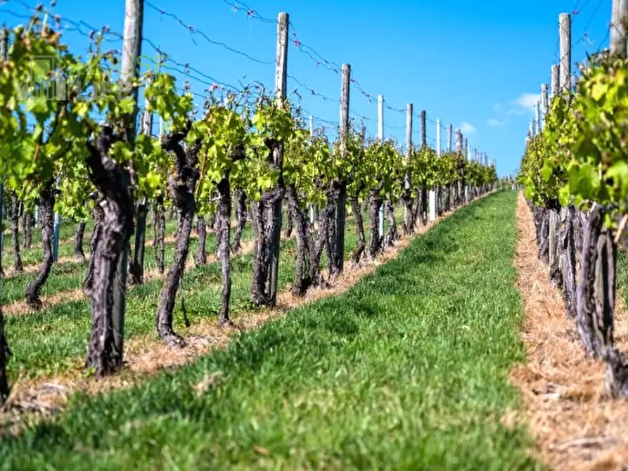 Immagine 11 di Rustico / casale in vendita  in Strada delle cave a Breganze