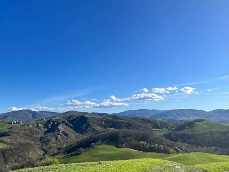 Immagine 1 di Villa in vendita  in Boschi di Carrega a Sala Baganza