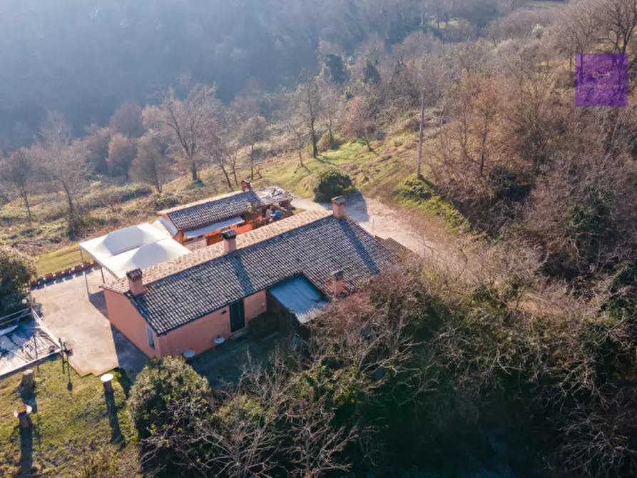 Immagine 5 di Casa indipendente in vendita  a Montegrotto Terme