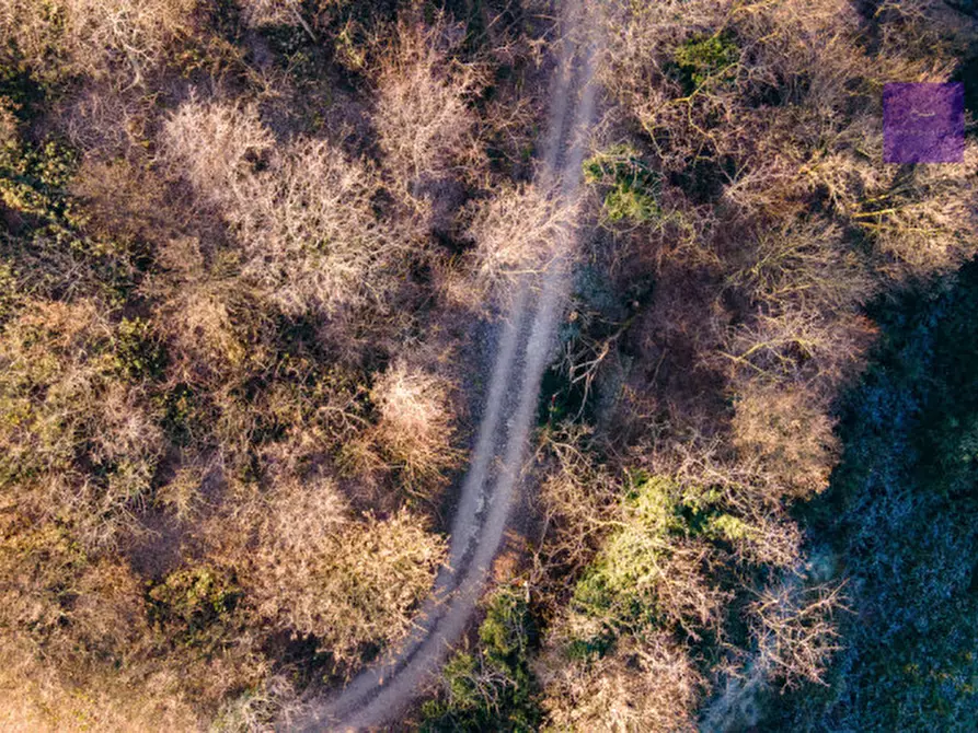 Immagine 9 di Casa indipendente in vendita  a Montegrotto Terme