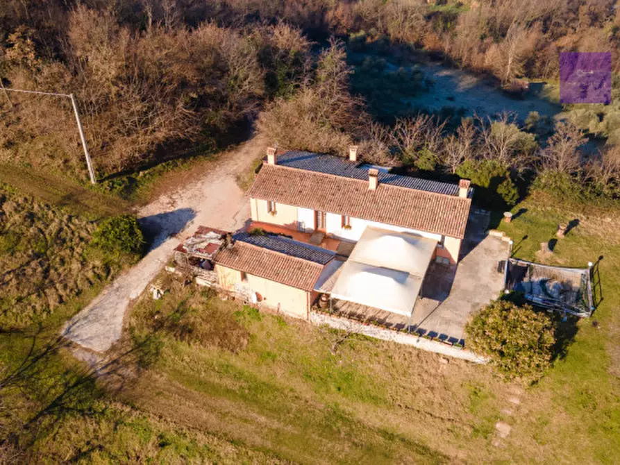 Immagine 12 di Casa indipendente in vendita  a Montegrotto Terme