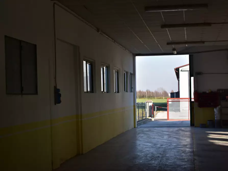 Immagine 1 di Magazzino in vendita  a Bovolenta