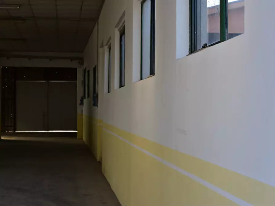 Immagine 2 di Magazzino in vendita  a Bovolenta