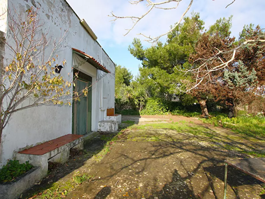 Immagine 11 di Villa in vendita  in SC Antica d'Acquarica a Ruffano