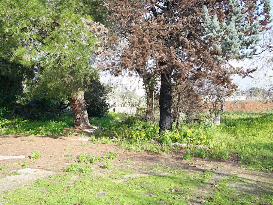 Immagine 17 di Villa in vendita  in SC Antica d'Acquarica a Ruffano