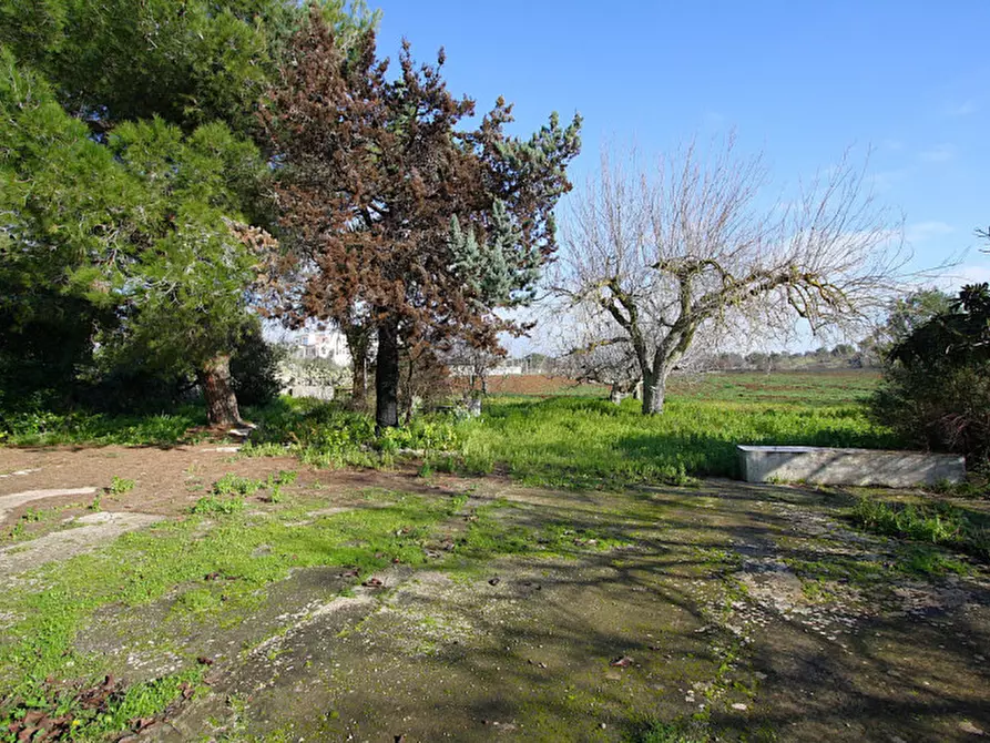 Immagine 18 di Villa in vendita  in SC Antica d'Acquarica a Ruffano