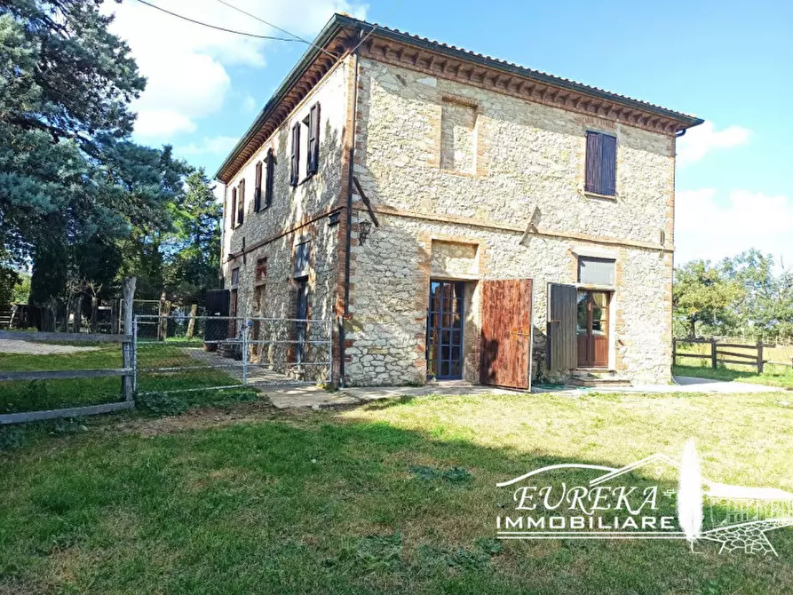 Immagine 3 di Rustico / casale in vendita  in VIA DELLA PIANA a Castiglione Del Lago