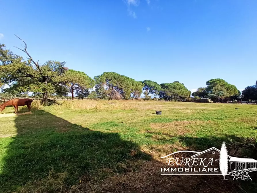 Immagine 17 di Rustico / casale in vendita  in VIA DELLA PIANA a Castiglione Del Lago
