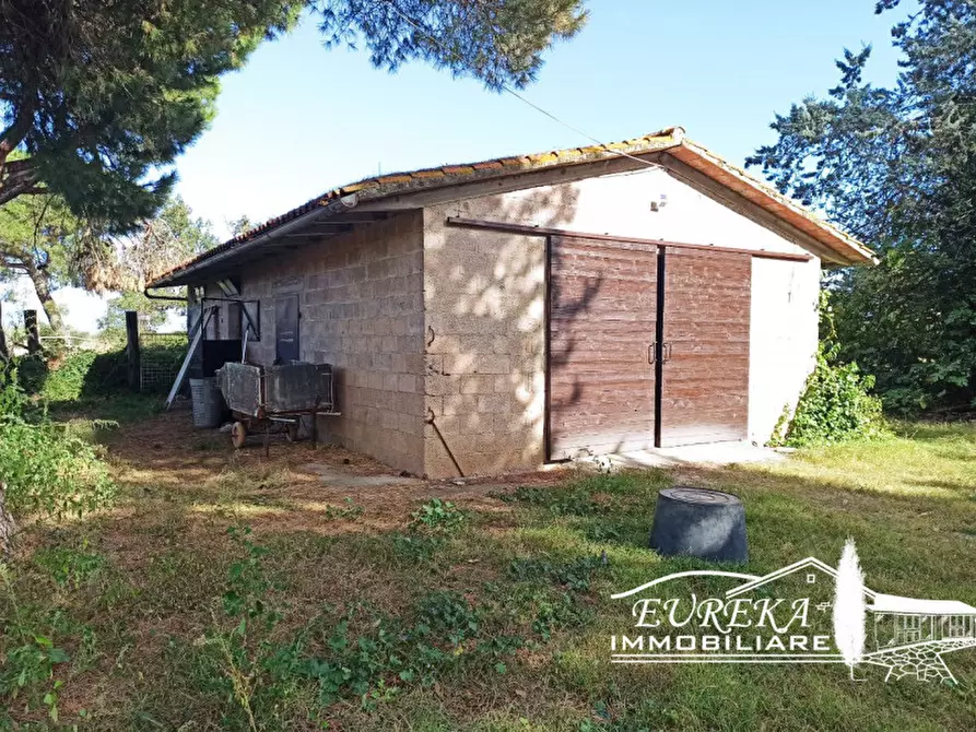 Immagine 21 di Rustico / casale in vendita  in localita bologni a Castiglione Del Lago